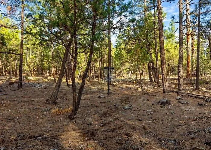 Holiday home Stylish Fire Pit Hot Tub & Forest Views Pinetop-Lakeside
