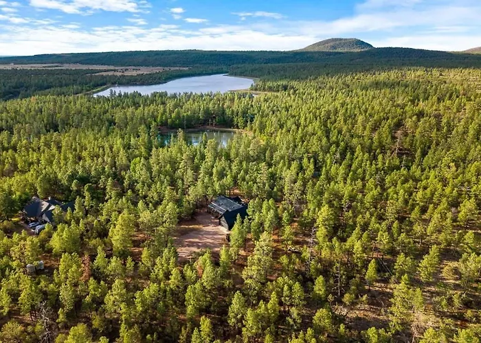 Stylish Fire Pit Hot Tub & Forest Views Holiday home *